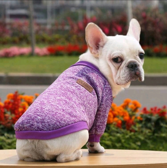 Classic Leather Autumn Fall Knit Sweater for Small Dogs Purple Small - Picture 4 of 5